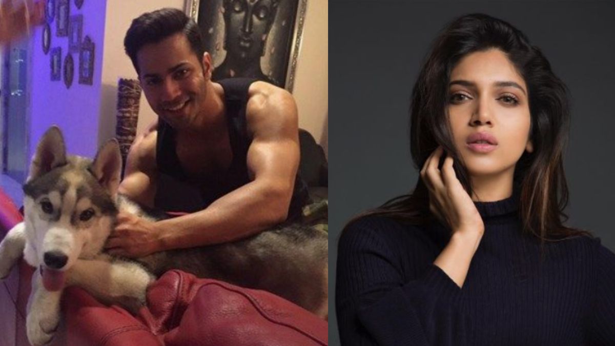 thane-pet-clinic-viral-video-varun-dhavan-bhumi-pednekar-and-others-demand-strict-action-against-animal-abuse